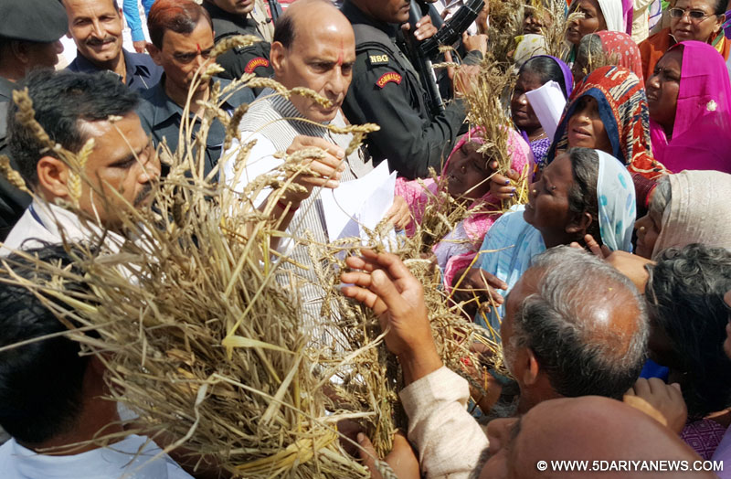 The Union Home Minister, Rajnath Singh visiting the rain-hit districts of Saharanpur, Badaun and Kanpur in Uttar Pradesh, to assess the crop loss to the farmers, on April 17, 2015. 