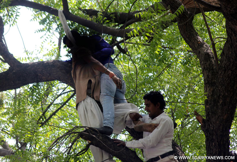 New Delhi: People rescue the farmer who attempted suicide by hanging himself from a tree at an AAP rally at Jantar Mantar, in New Delhi, on April 22, 2015.