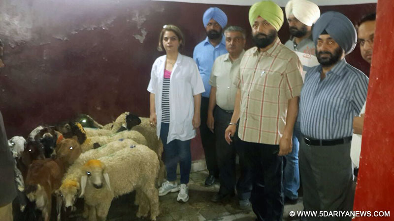 ਐਸ.ਡੀ.ਐਮ ਲਖਮੀਰ ਸਿੰਘ ਉਦਯੋਗਿਕ ਖੇਤਰ ਫੇਜ਼-1 ਵਿਖੇ ਸਲਾਟਰ ਹਾਊਸ ਦੀ ਅਚਨਚੇਤੀ ਚੈਕਿੰਗ ਕਰਦੇ ਹੋਏ। ਉਨ੍ਹਾਂ ਨਾਲ ਜ਼ਿਲ੍ਹਾ ਸਿਹਤ ਅਫ਼ਸਰ ਐਚ.ਐਸ.ਓਬਰਾਏ ਵੀ ਦਿਖਾਈ ਦੇ ਰਹੇ ਹਨ। 