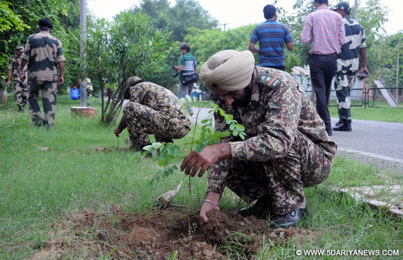 Amritsar: BSF personnel plant saplings at BSF Head Quarter in Khasa near Amritsar on Aug 12, 2015. The Border Security Force (BSF) planted around four lakh saplings along the border to mark Independence Day. The saplings were planted as a part of BSF