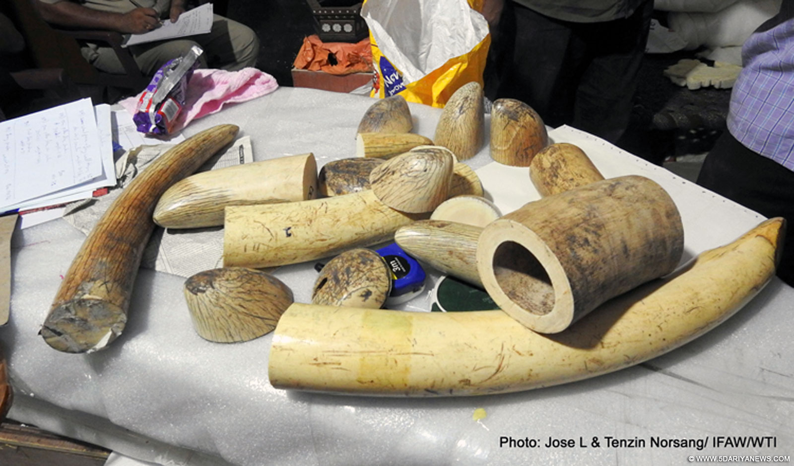 Ivory worth over Rs.19 crore seized in Delhi