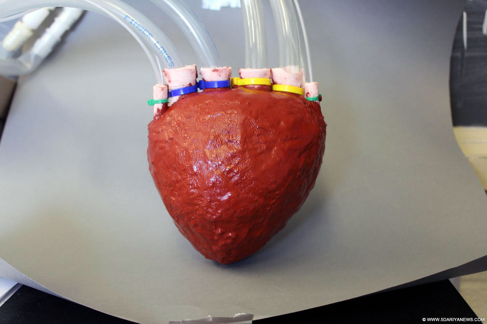 Researchers create artificial foam heart
