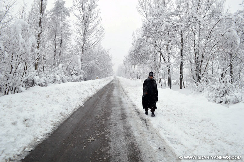 Anantnag: A view after snowfall in Anantnag of Jammu and Kashmir. 