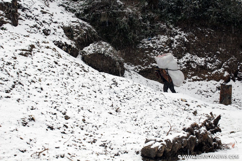 Shimla shivers after snowfall