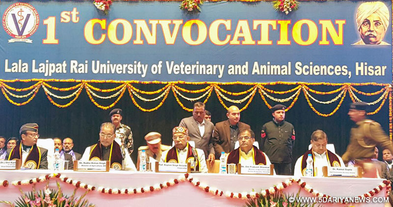 The Governor of Punjab and Haryana and Administrator, Union Territory, Chandigarh, Prof. Kaptan Singh Solanki, the Union Minister for Agriculture and Farmers Welfare, Shri Radha Mohan Singh and other dignitaries at the First Convocation at Lala Lajpat Rai Veterinary and Animal Sciences University, in Hisar, Haryana on January 28, 2016.