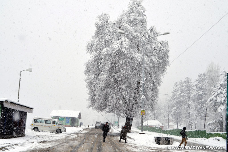 A view of fresh snowfall in Tangmarg area of Jammu and Kashmir`s Baramulla district, on Feb 11, 2016. 