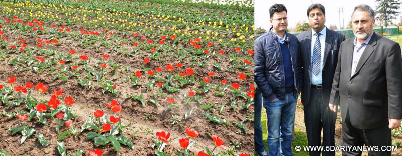	10 lakh tulip bulbs to light Kashmir tourism: Dr. Asgar Hassan Samoon