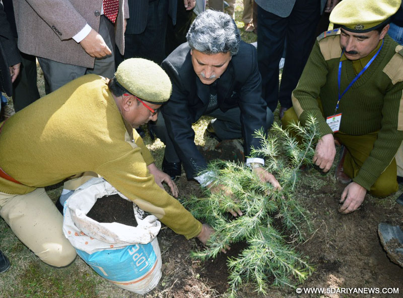 World Arbor Day:Govt to create separate Chinar section in Forest department