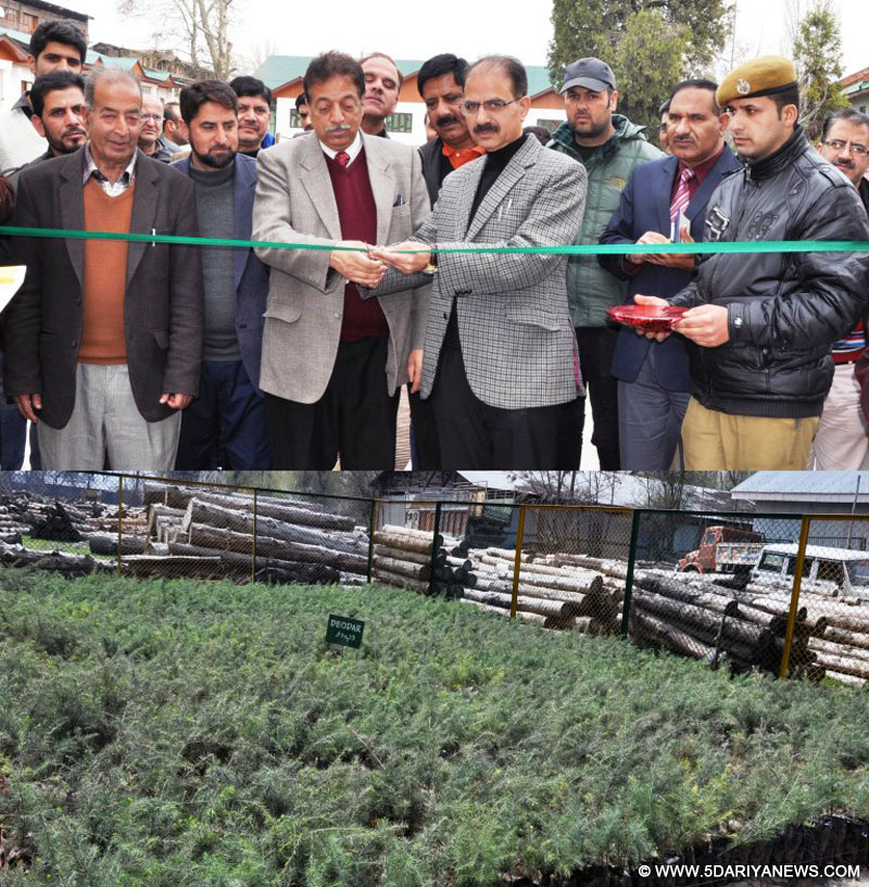 	CCF inaugurates sale of conifer saplings at P.C. Depot, Forest Hqrs