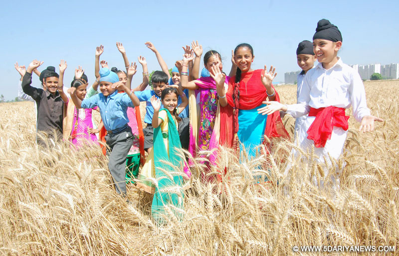 ਹੋਲੀ ਵੰਡਰ ਸਕੂਲ 