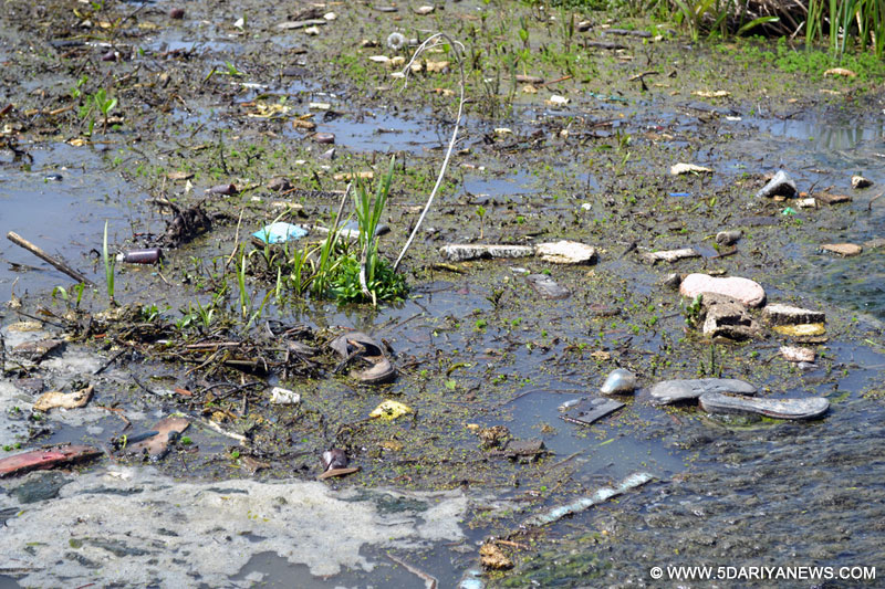 From wetland to wasteland: Srinagar’ Hokarsar has become a dumping pit for the city 