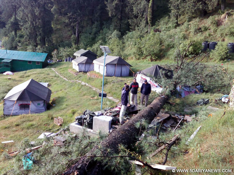 The trunk of the tree that fell on the tent of tourists at an Eco-Tourism camp killing two tourists at Narkanda 65km away from Shimla on June 9, 2016. 
