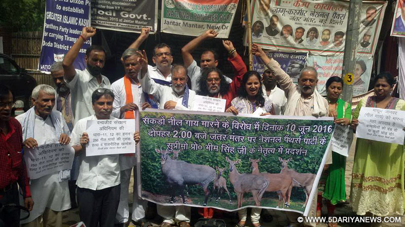 NPP condemn brutal killing of Neelgais in Bihar, Call it grave violation of Wildlife Protection Act