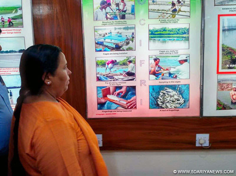 The Union Minister for Water Resources, River Development and Ganga Rejuvenation, Sushri Uma Bharti visiting the Central Inland Fisheries Research Institute, at Barrackpore, West Bengal on May 26, 2017.
