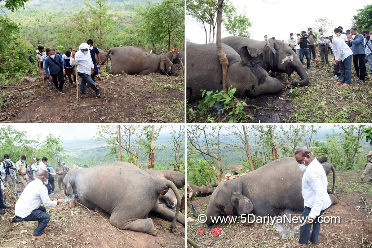 Hadsa, Khas Khabar, Assam, Guwahati, Nagaon, Green Guard Nature Organisation, GGNO, Rituraj Phukan, Annarwaruddin Choudhary, Parimal Suklabaidya, Proposed Reserve Forest, Death of 18 elephants in Assam
