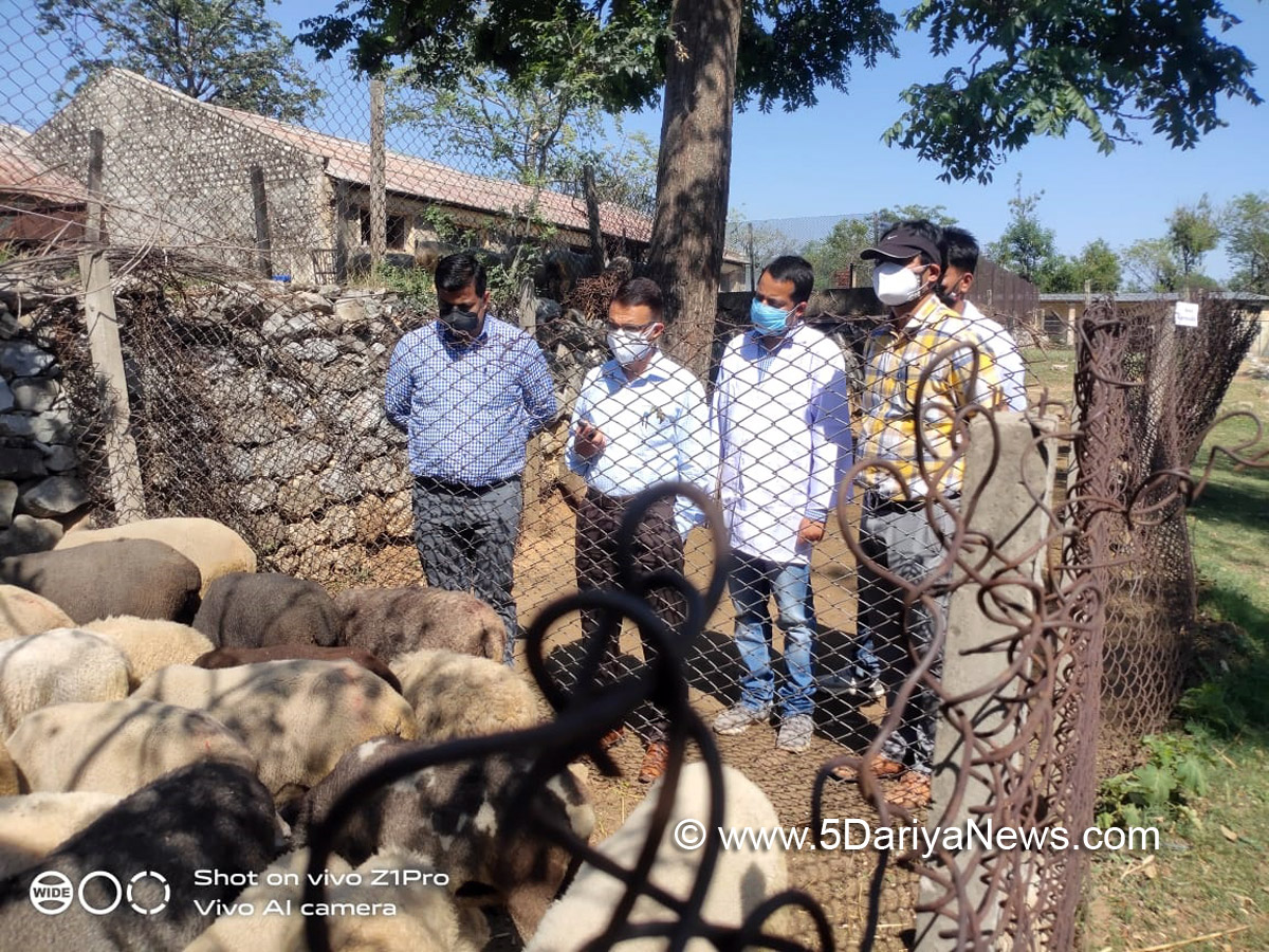  JK Admin, Krishan Lal, Sheep Breeding Farm Panthal, Jammu, Jammu And Kashmir, Jammu & Kashmir