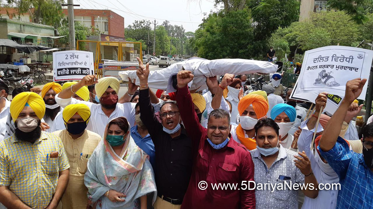   AAP, Aam Aadmi Party, Aam Aadmi Party Punjab, AAP Punjab, Protest, Agitation, Demonstration