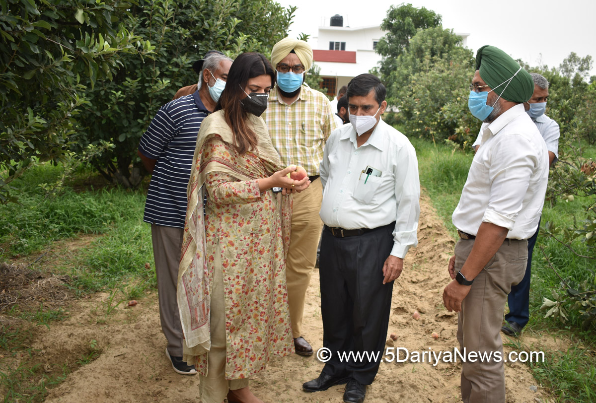  DC Hoshiarpur, Deputy Commissioner Hoshiarpur, Apneet Riyait, Hoshiarpur