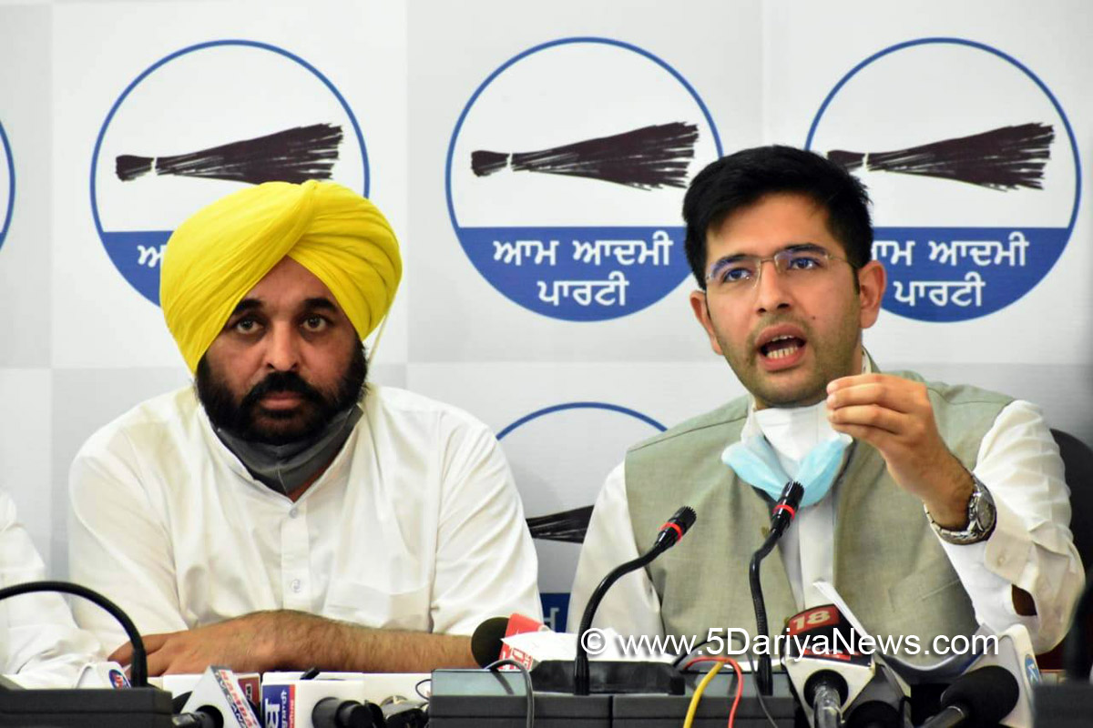 Raghav Chadha, Bhagwant Mann, AAP, Aam Aadmi Party, Aam Aadmi Party Punjab, AAP Punjab    