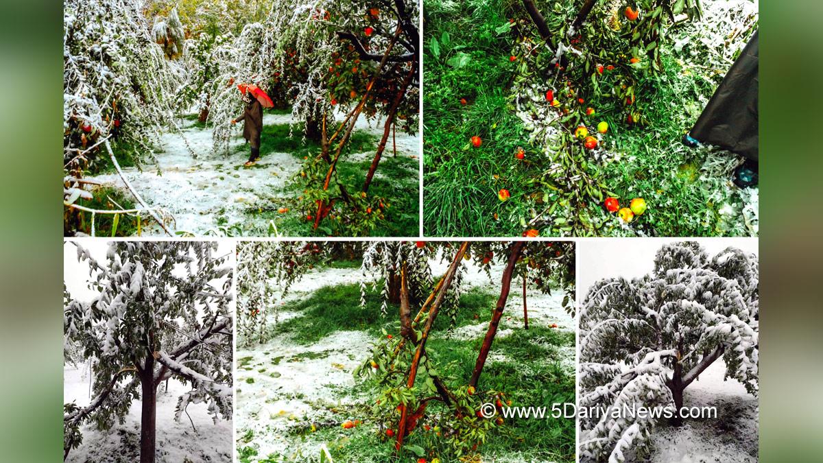 Weather, Srinagar, Kashmir, Jammu And Kashmir, Jammu & Kashmir, Mausam, Shopian