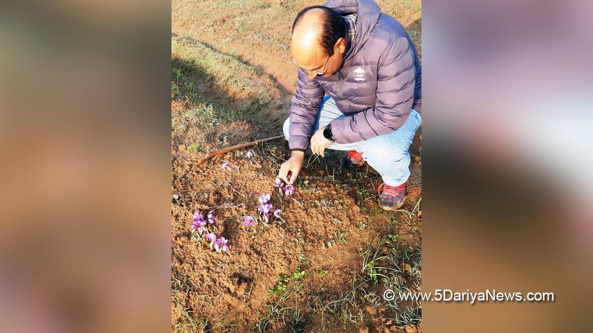 Agriculture, Director Agriculture Kashmir, Chowdhary Mohammad Iqbal, Srinagar, Kashmir, Jammu And Kashmir, Jammu & Kashmir, Pampore