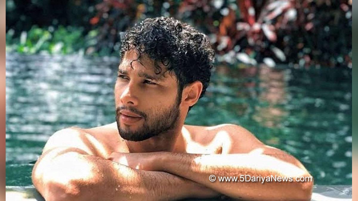 Bollywood, Entertainment, Mumbai, Actor, Cinema, Hindi Films, Movie, Mumbai News, Siddhant Chaturvedi