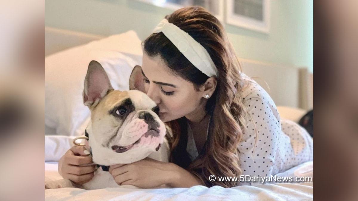 Samantha Akkineni, Tollywood, Entertainment, Actor, Actress, Cinema, Movie, Telugu Films