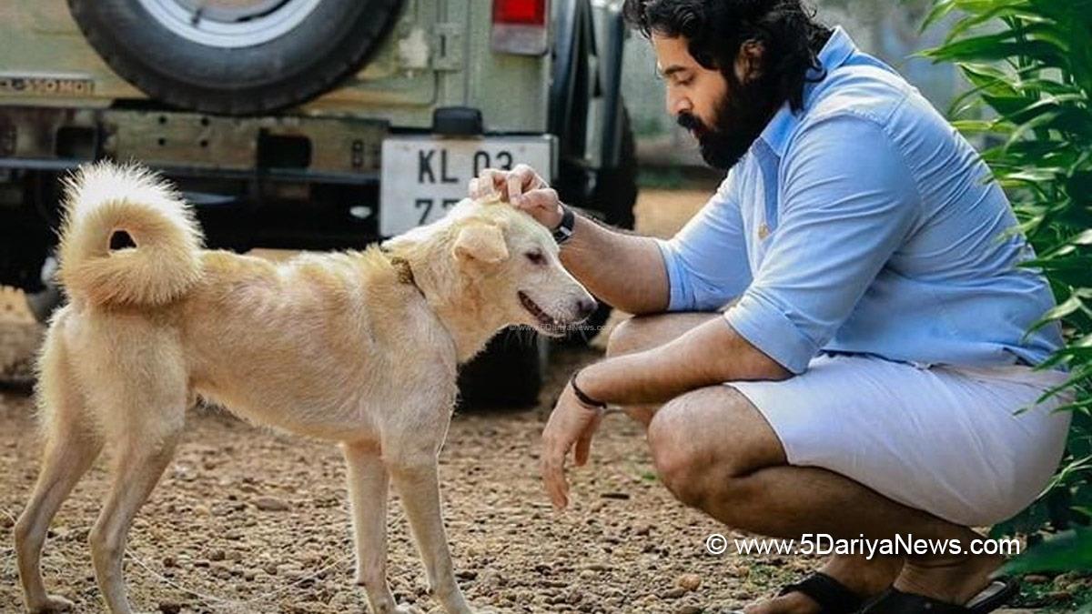 Sandalwood, Entertainment, Actress, Cinema, Movie, Chennai, Unni Mukundan