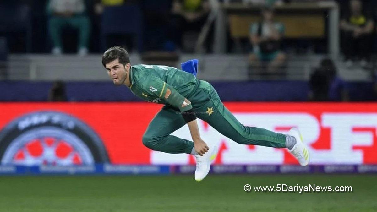 Sports News, Cricket, Cricketer, Player, Bowler, Batsman, Shaheen Afridi, ICC men Cricketer of the Year for 2021
