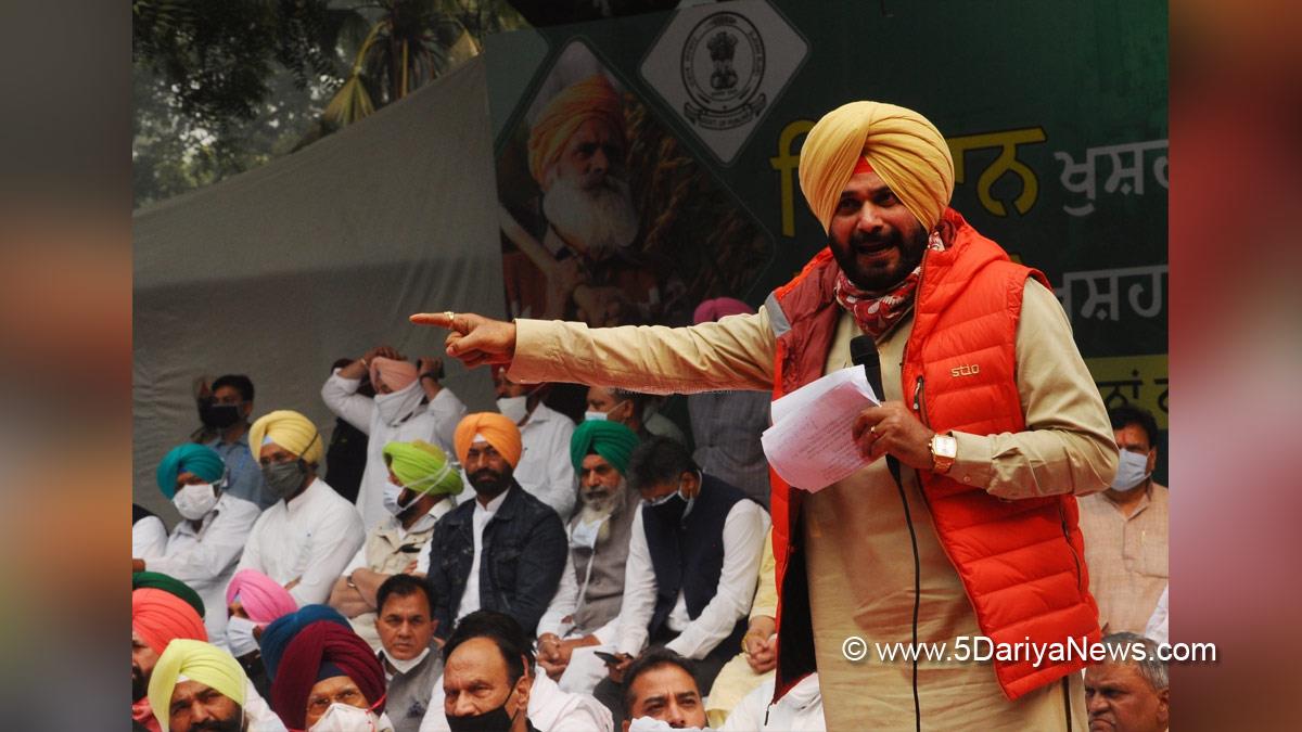 Navjot Singh Sidhu, Congress, Chandigarh, Punjab Congress, Punjab Congress Chief