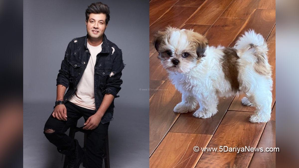Bollywood, Varun Sharma, Entertainment, Mumbai, Actor, Cinema, Hindi Films, Movie, Mumbai News