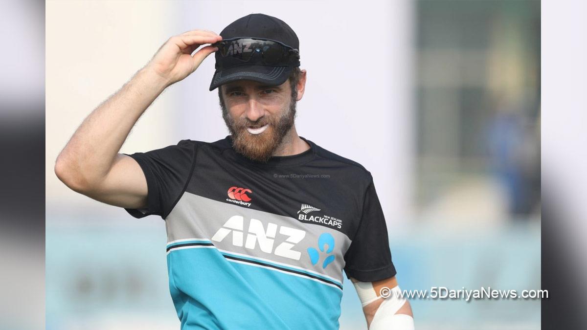 Sports News, Cricket, Cricketer, Player, Bowler, Batsman, Gary Stead