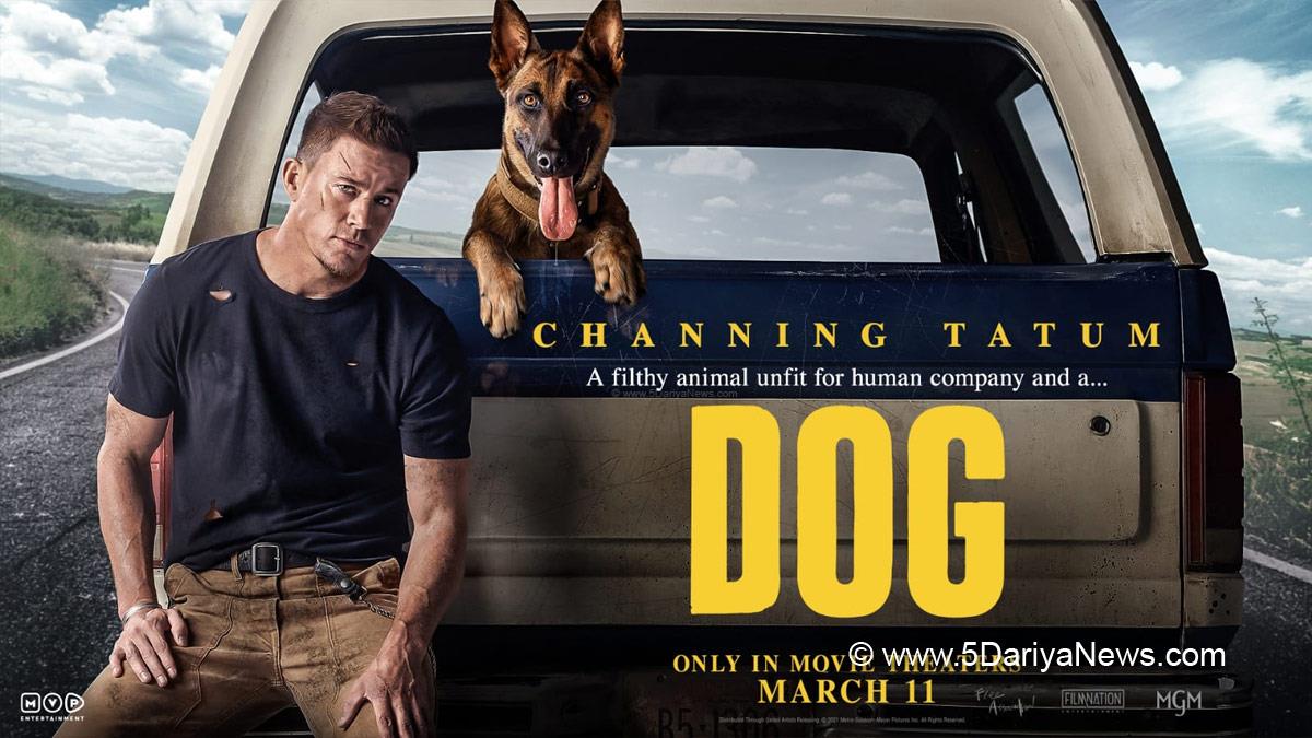 Hollywood, Los Angeles, Actor, Actress, Cinema, Movie, Channing Tatum, Dog