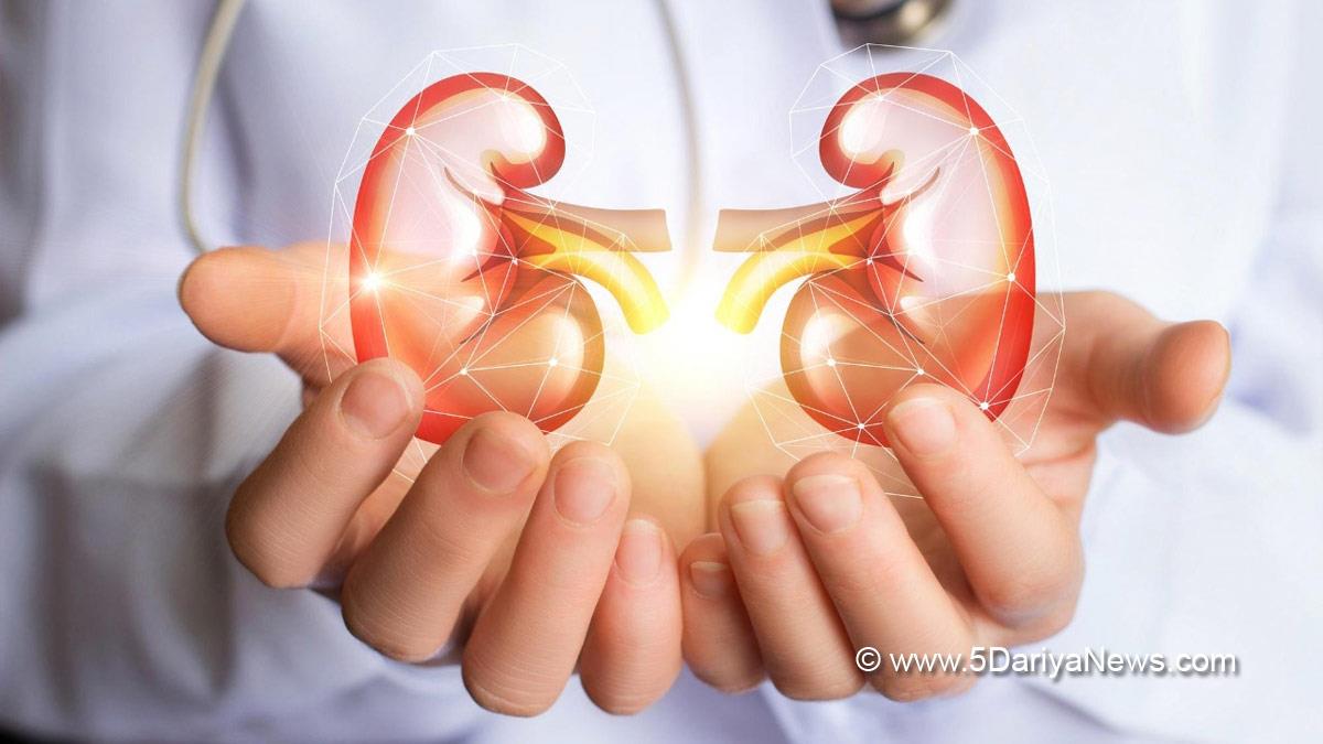Health, Study, Gurugram, Research, Researchers, Kidneys, Painkillers
