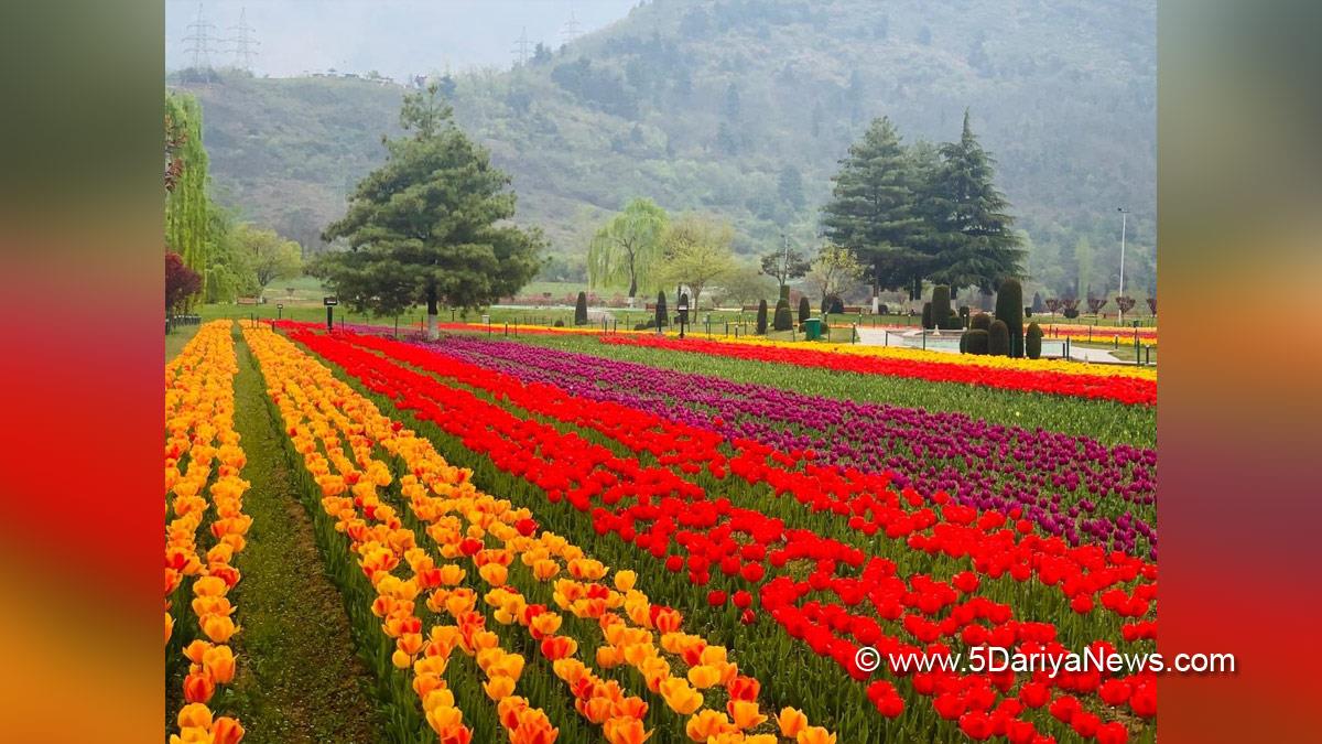 Tourism, Srinagar, Jammu & Kashmir, Tulip Garden