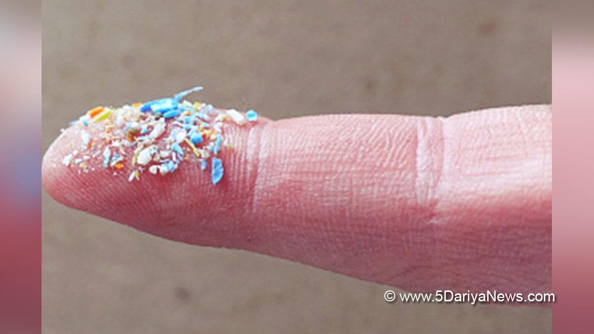 Health, Study, London, Research, Researchers, World News, Microplastics