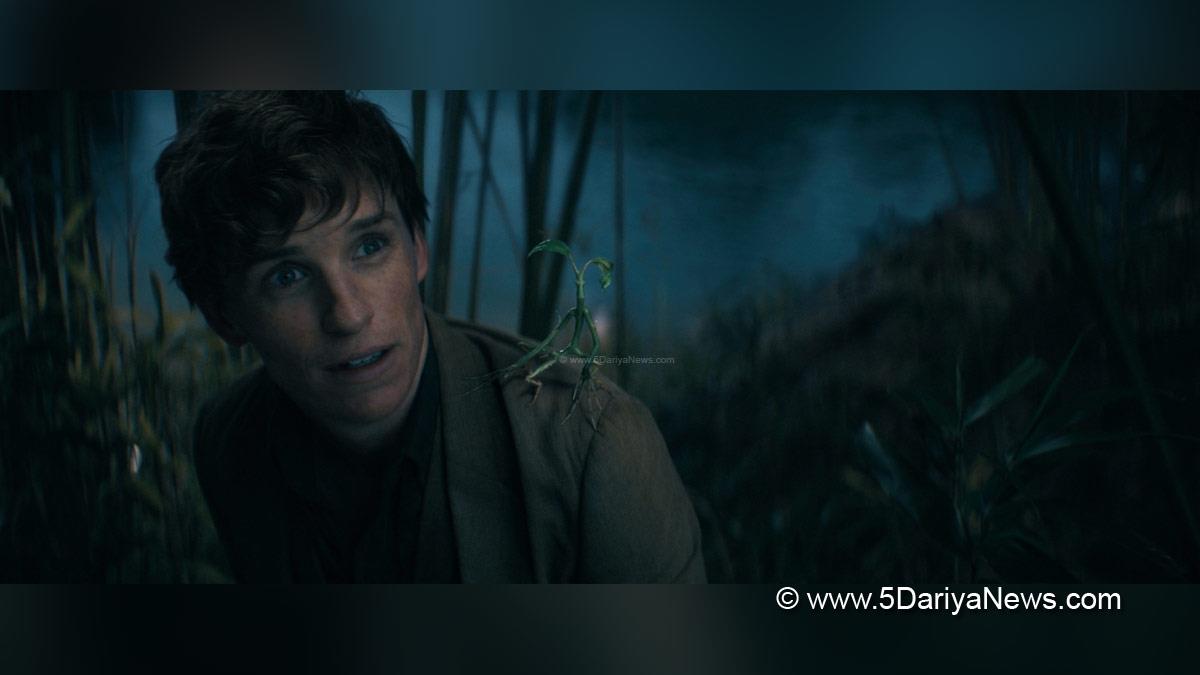 Hollywood, Los Angeles, Actress, Actor, Cinema, Movie, Eddie Redmayne