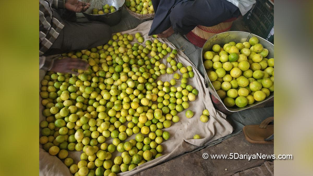 Khas Khabar, Jaipur, Lemon Water, 400 Per Kg, Lemon Price