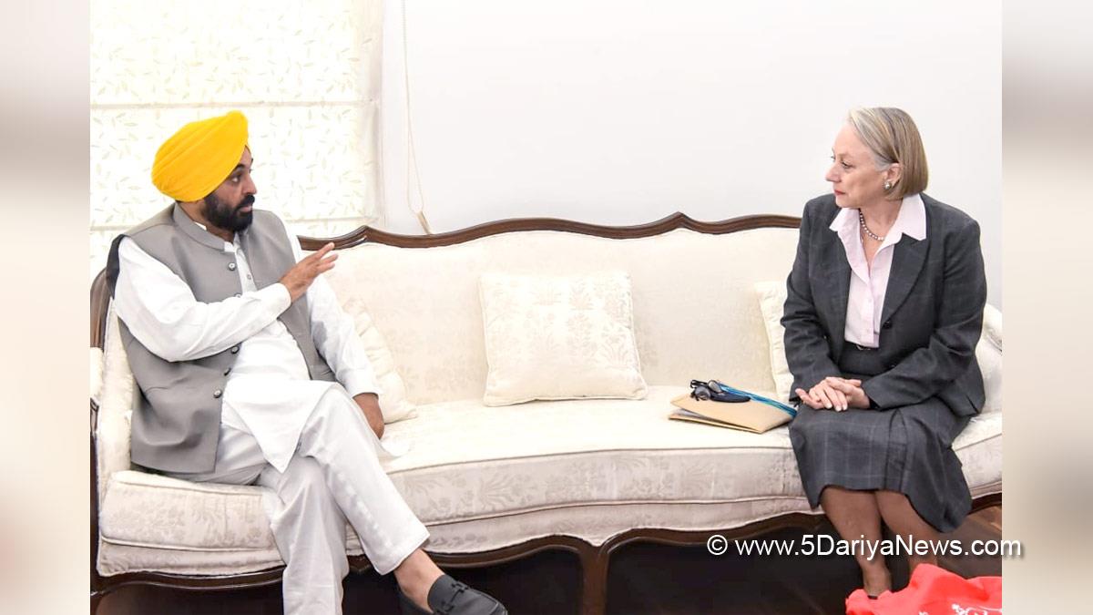 Bhagwant Mann, AAP, Aam Aadmi Party, Aam Aadmi Party Punjab, AAP Punjab