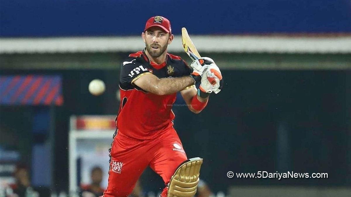 Sports News, Cricket, Cricketer, Player, Bowler, Batsman, Indian Premier League, IPL, IPL 2022, #IPL2022, Glenn Maxwell, Faf du Plessis