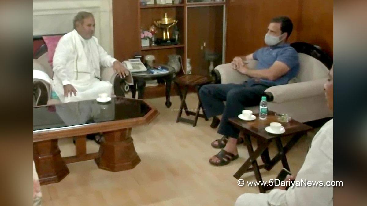 Rahul Gandhi, Indian National Congress, Congress, All India Congress Committee, Rahul Gandhi, Sharad Yadav
