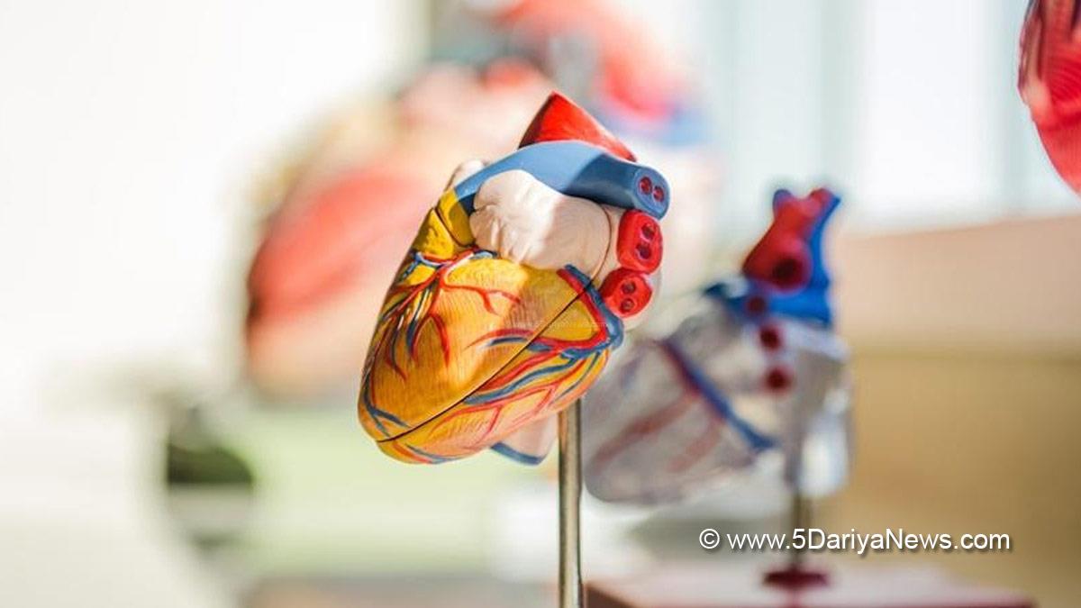 Health, Study, Beijing, Research, Researchers, World News, Blood Pressure, Allergies, Asthma