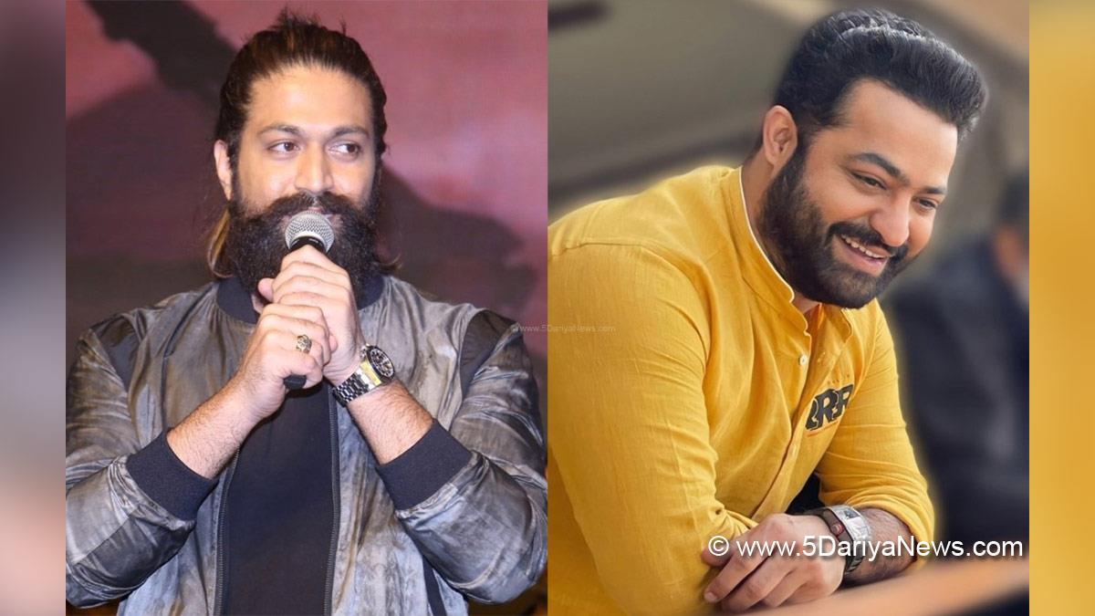 Sandalwood, Entertainment, Actor, Actress, Cinema, Movie, Heroine, Yash, KGF2