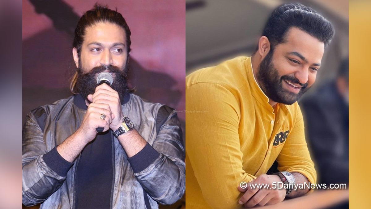 Sandalwood, Entertainment, Actor, Actress, Cinema, Movie, Heroine, Yash, NTR