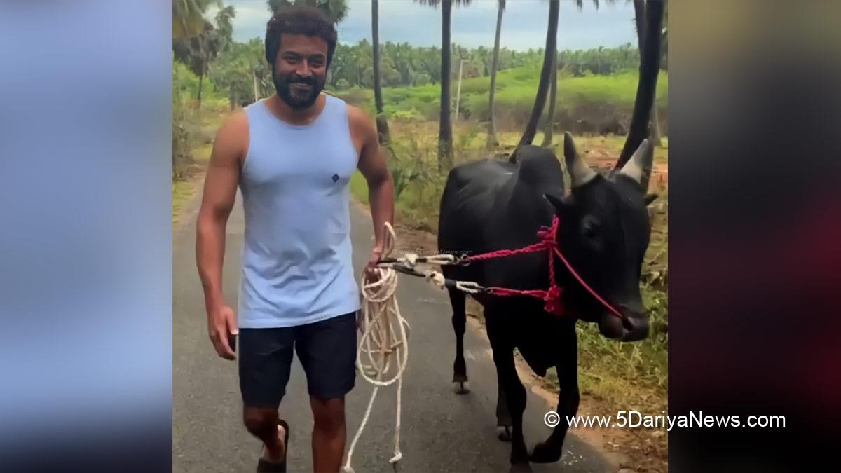 Tollywood, Entertainment, Actor, Actress, Cinema, Movie, Telugu Films, Suriya