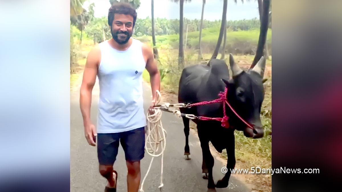 Tollywood, Entertainment, Actor, Actress, Cinema, Movie, Telugu Films, Suriya