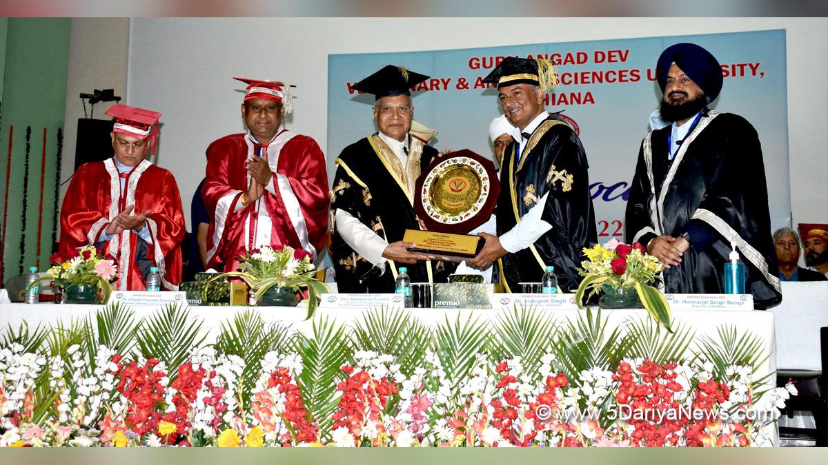Banwari Lal Purohit, Banwarilal Purohit, Governor of Punjab, Punjab Governor, Punjab Raj Bhavan, GADVASU