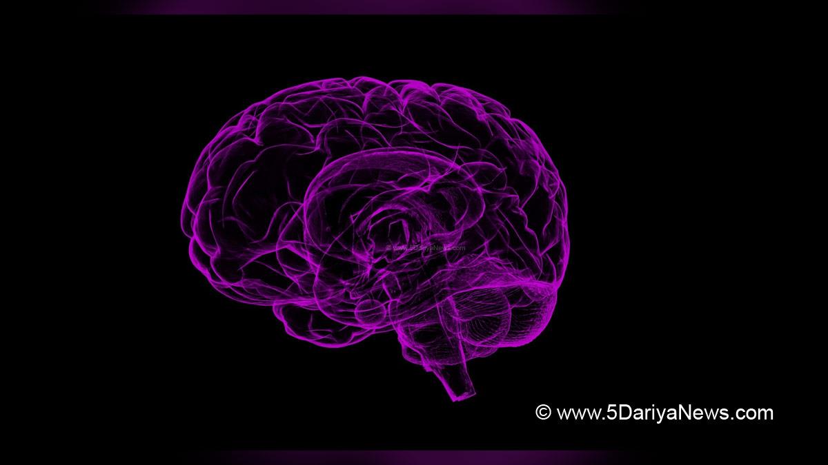 Health, Study, Research, Researchers,  Hypertension, Blood Pressure