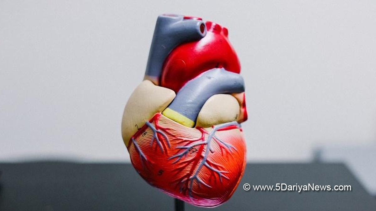 Health, Study, New York, Research, Researchers, World News