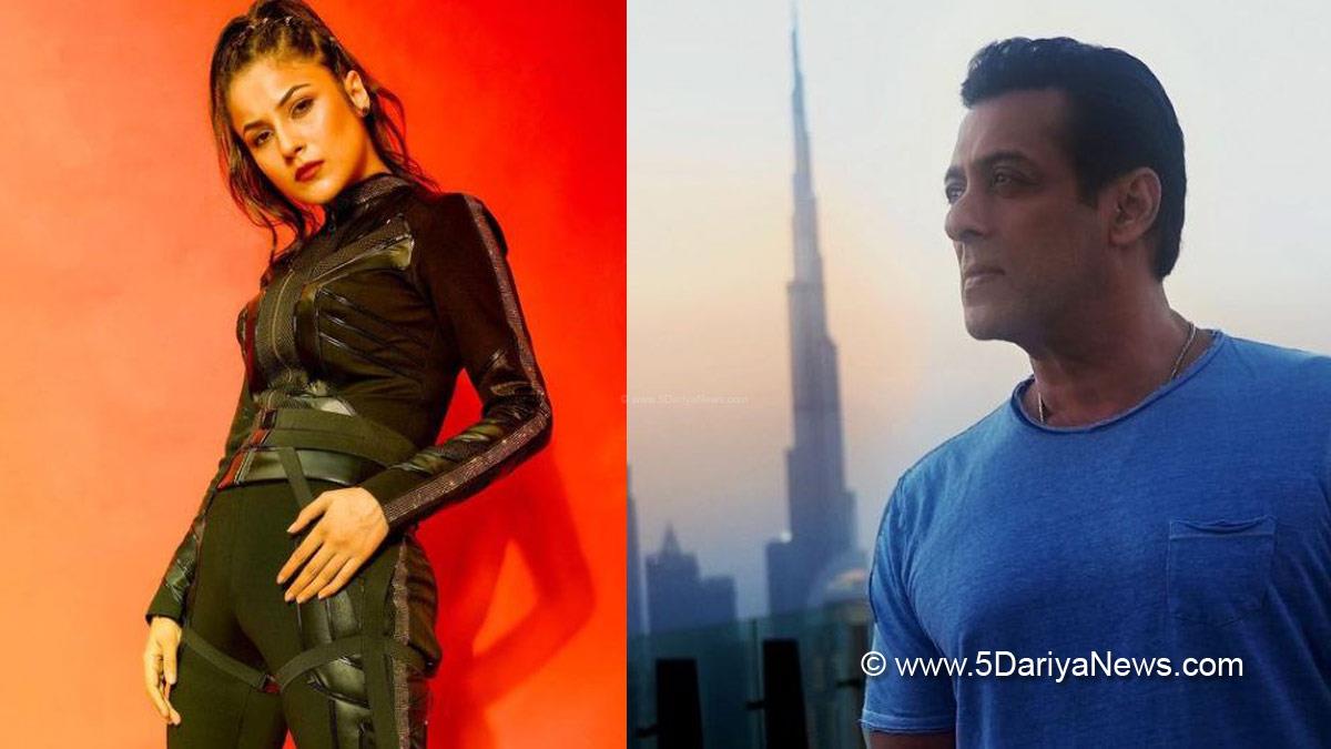 Bollywood, Entertainment, Mumbai, Actor, Actress, Cinema, Hindi Films, Movie, Shehnaaz Gill, Kabhi Eid Kabhi Diwali, Salman Khan, Bigg Boss, Salman Khan, Pooja Hedge, Aayush Sharma